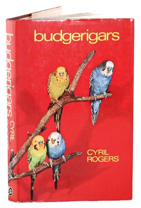 Stock ID 44916 Budgerigars. Cyril H. Rogers