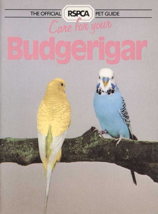 Stock ID 44945 Care for your budgerigar. Tina Hearne