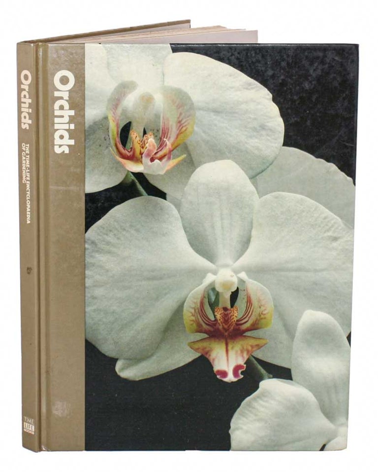 Stock ID 45050 Orchids. Alice Skelsey.