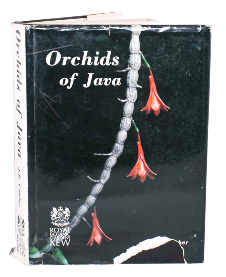 Stock ID 45053 Orchids of Java. J. B. Comber.