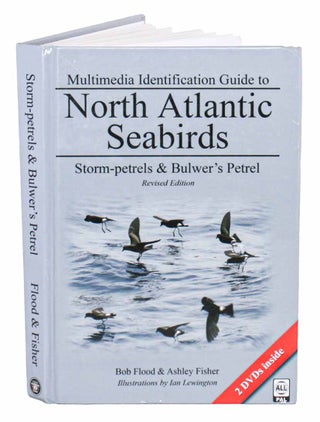 North Atlantic seabirds: storm-petrels and Bulwer's petrel. Bob Flood, Ashley Fisher.