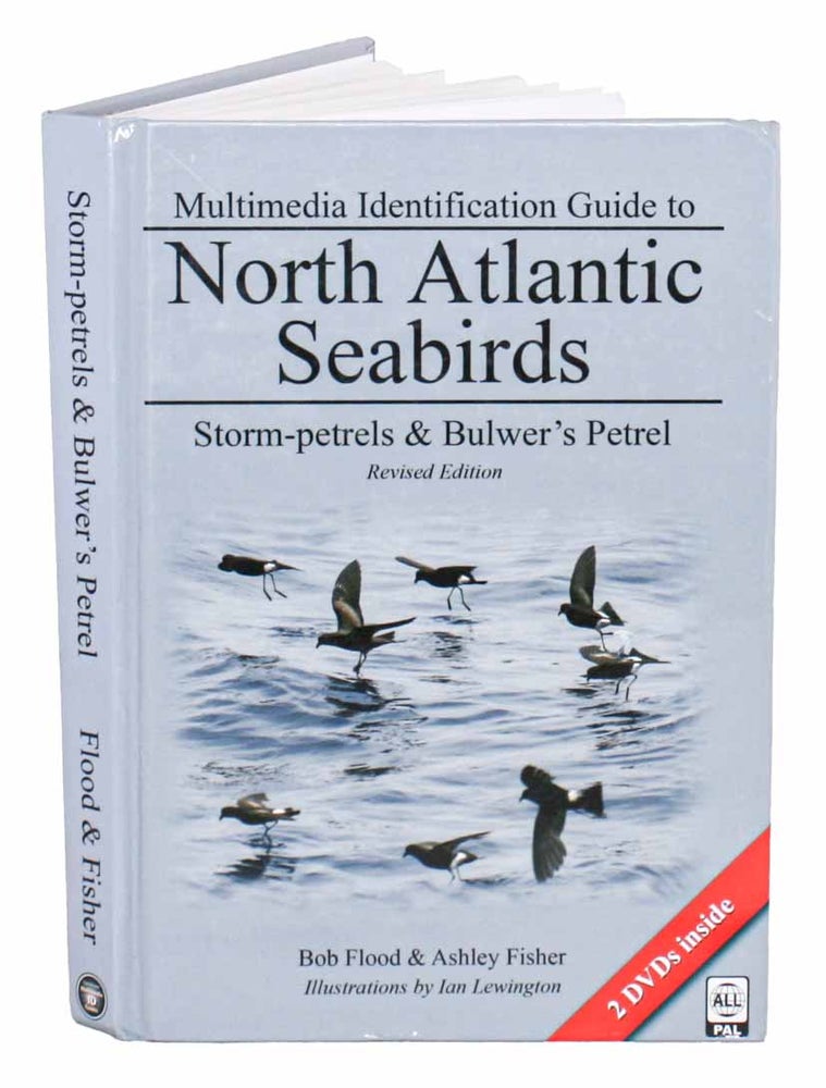 Stock ID 45084 North Atlantic seabirds: storm-petrels and Bulwer's petrel. Bob Flood, Ashley Fisher.