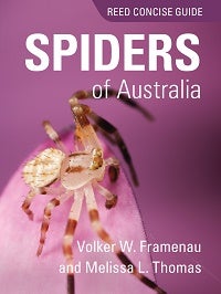 Stock ID 45188 Reed concise guide: spiders of Australia. Volker W. Framenau, Melissa L. Thomas