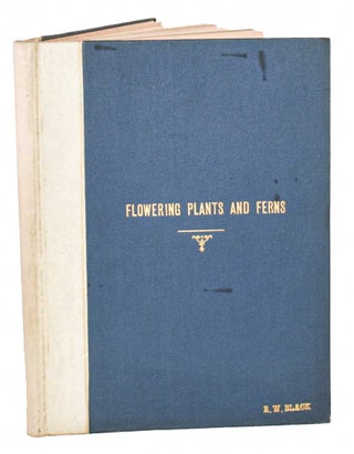 Stock ID 45195 The flowering plants and ferns of New South Wales, with especial reference to...