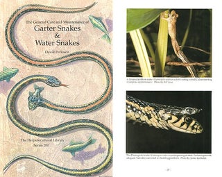 The general care and maintenance of Garter Snakes and Water Snakes. David Perlowin.