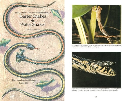 Stock ID 4530 The general care and maintenance of Garter Snakes and Water Snakes. David Perlowin.