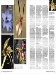 A complete guide to native orchids of Australia.