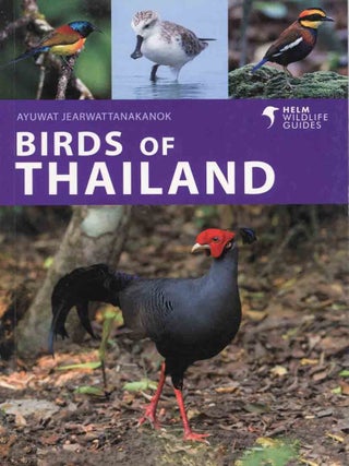 Stock ID 45494 Birds of Thailand. Ayuwat Jearwattanakanok
