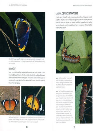 All about butterflies of Australia.