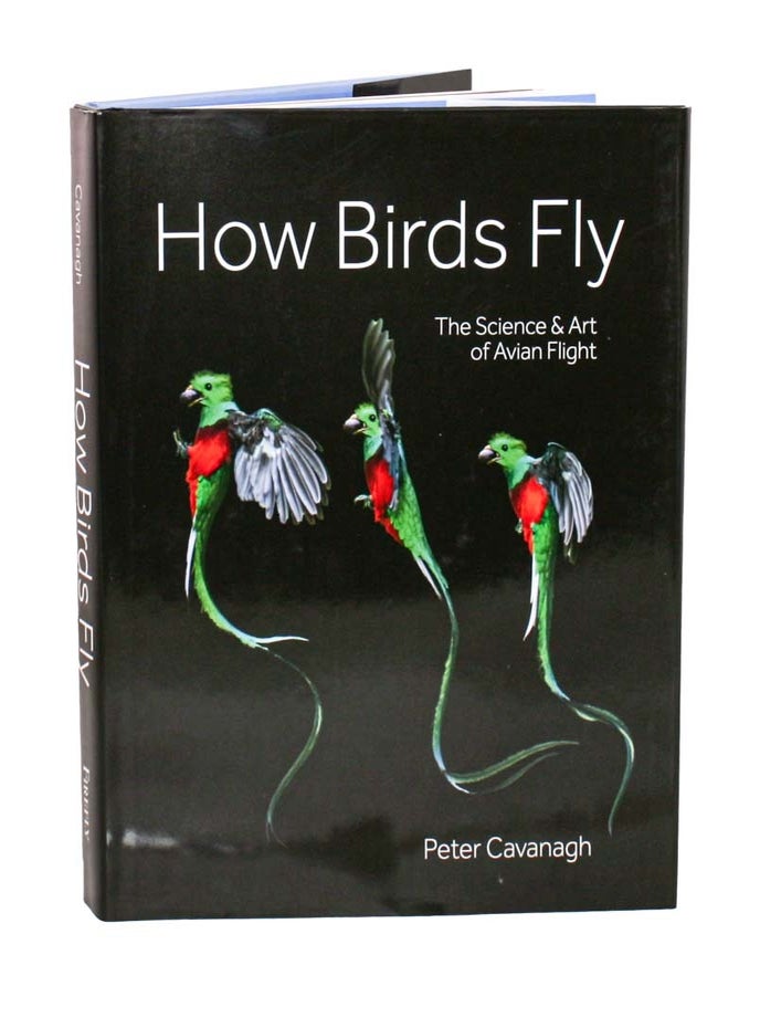 Stock ID 45547 How birds fly: the science and art of avian flight. Peter Cavanagh.