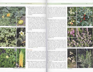 Weeds of the south-east: an identification guide for Australia.