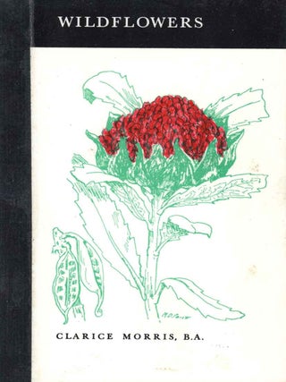 Stock ID 45691 Wildflowers. Clarice Morris