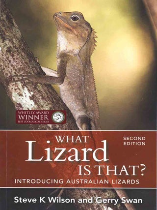 What lizard is that? introducing Australian lizards.