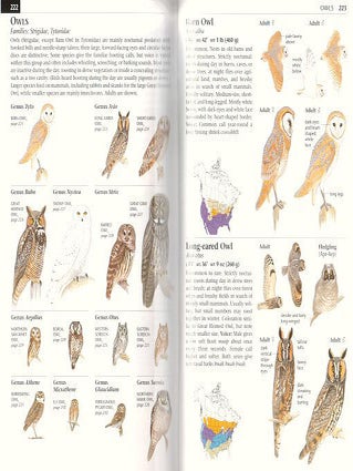 Field guide to the birds of eastern North America.