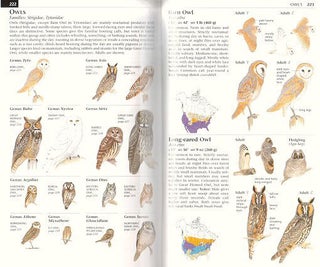 Field guide to the birds of eastern North America.