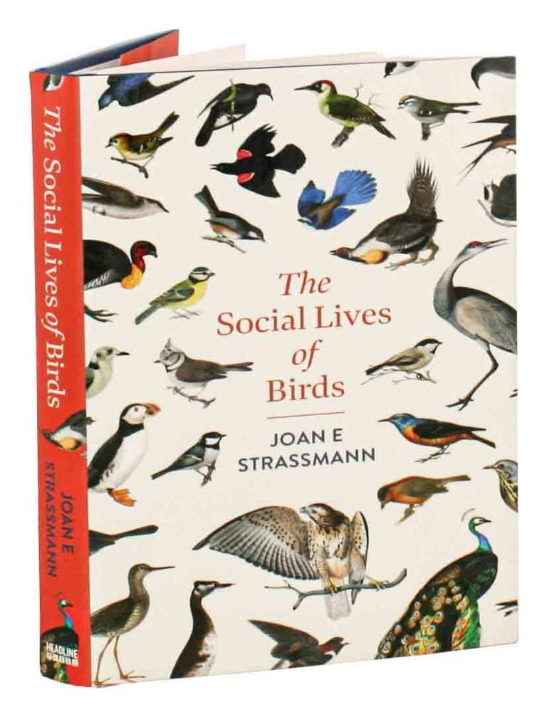 Stock ID 45935 The social lives of birds. Joan E. Strassmann.