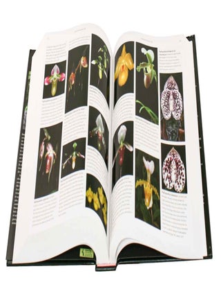 Orchid species of the world: 3,333 species from 343 genera described and illustrated