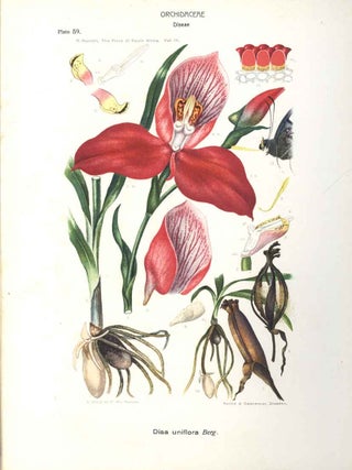 The flora of South Africa.