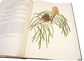 The banksias, volumes one and two.
