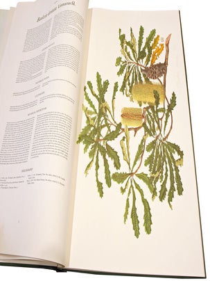 The banksias, volumes one and two.