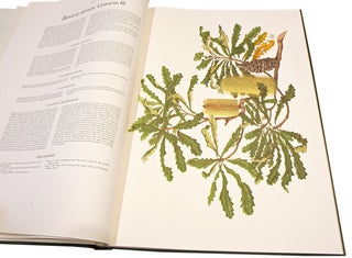 The banksias, volumes one and two.