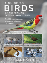 A guide to birds of Australian towns and cities.