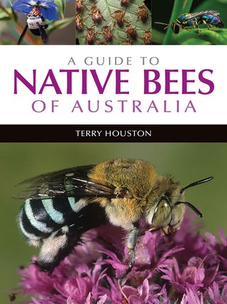 Stock ID 46161 A guide to native bees of Australia. Terry Houston