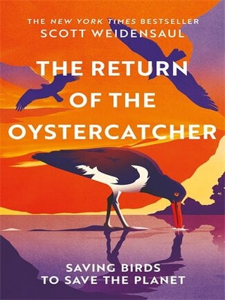 The return of the Oystercatcher: saving birds to save the planet