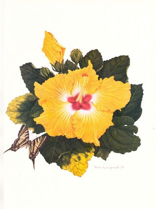 Hibiscus [volume one only].