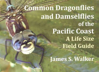 Stock ID 46455 Common dragonflies and damselflies of the Pacific coast: a life size field guide....