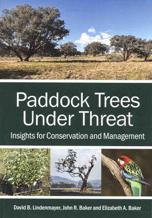 Paddock trees under threat: insights for conservation and management.