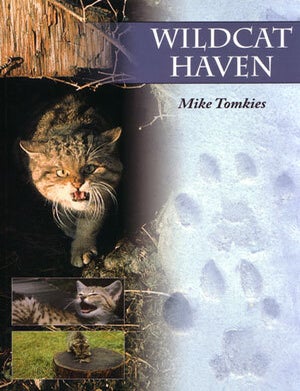 Stock ID 46515 Wildcat haven. Mike Tomkies.