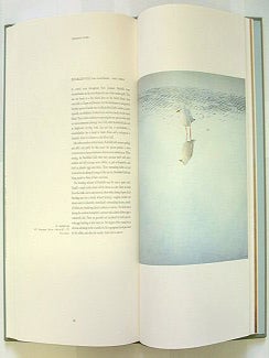 Studies and sketches of a bird painter.