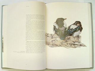 Studies and sketches of a bird painter.