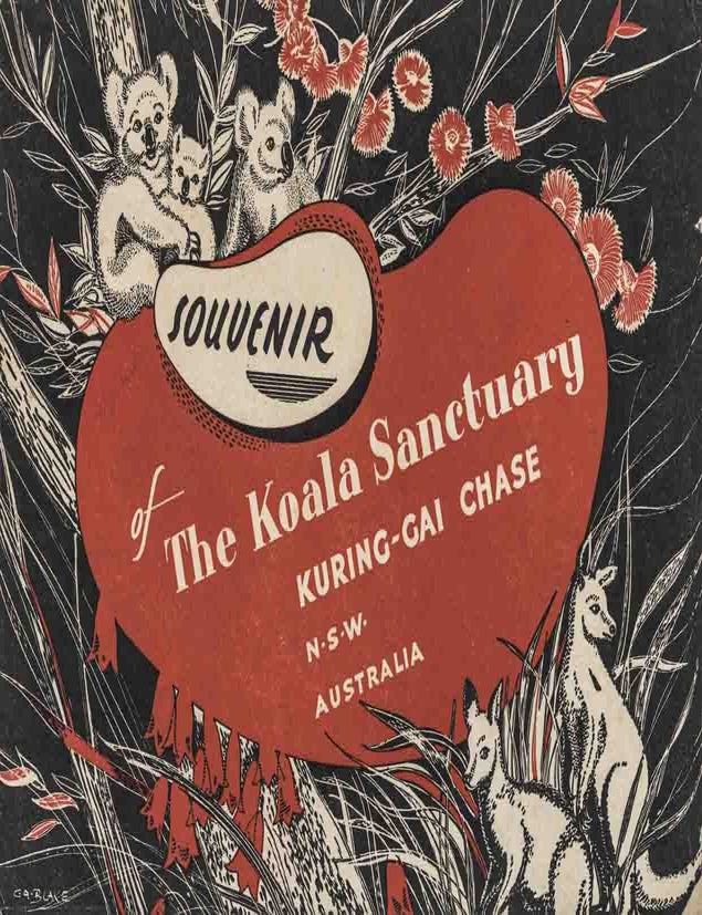 Stock ID 46556 Souvenir of The Koala Sanctuary, Kuring-gai Chase, NSW Australia. V. E. Wallace.