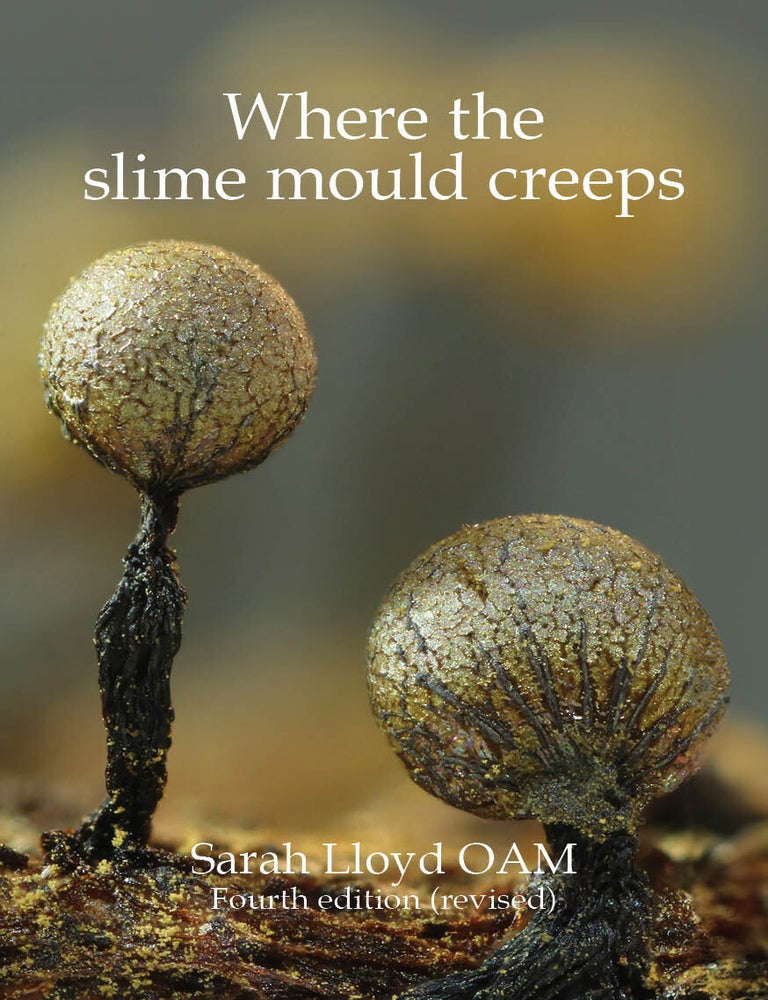 Stock ID 46571 Where the slime mould creeps: the fascinating world of myxomycetes. Sarah Lloyd.