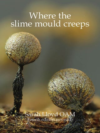 Where the slime mould creeps: the fascinating world of myxomycetes