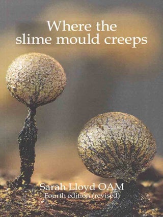 Where the slime mould creeps: the fascinating world of myxomycetes.