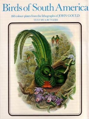 Stock ID 4685 Birds of South America: illustrations from the lithographs of John Gould. A. Rutgers