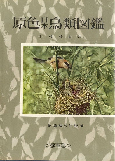 Stock ID 4691 Birds of Japan in natural colours. Keisuke Kobayashi.