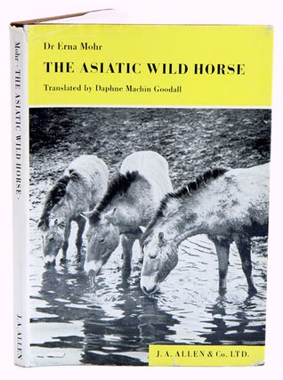 Stock ID 4914 The Asiatic wild horse Equus przevalskii Poliakoff, 1881. Erna Mohr