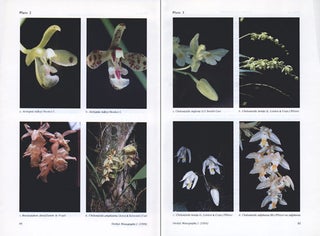 Orchid monographs, Volume one A: Taxonomic revision of the genus Acriopsis Reinwardt ex Blume/Revisions in Coelogyninae.