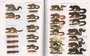 Mammals of Thailand.