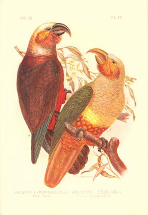 The Cockatoos and Nestors of Australia and New Zealand [facsimile].