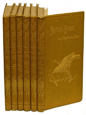 Stock ID 5554 British birds with their nests and eggs. Arthur G. Butler