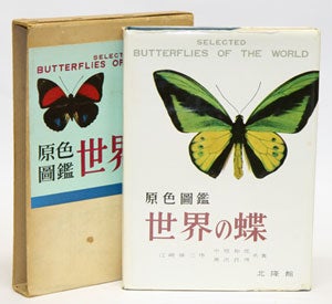 Stock ID 5558 Selected butterflies of the world illustrated in colours. Anon