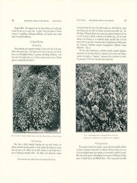 The subantarctic island of New Zealand. Reports on the geo-physics, geology, zoology, and botany of the islands lying to the south of New Zealand.