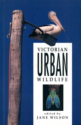 Stock ID 566 Victorian urban wildlife. Jane Wilson