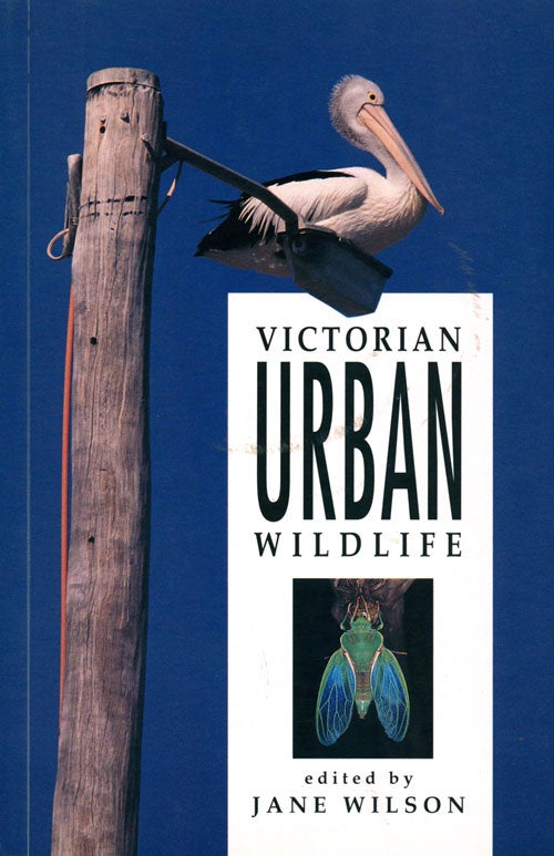 Stock ID 566 Victorian urban wildlife. Jane Wilson.