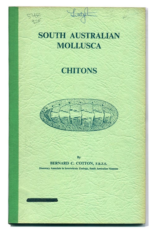 Stock ID 5768 South Australian Mollusca: Chitons. Bernard C. Cotton.